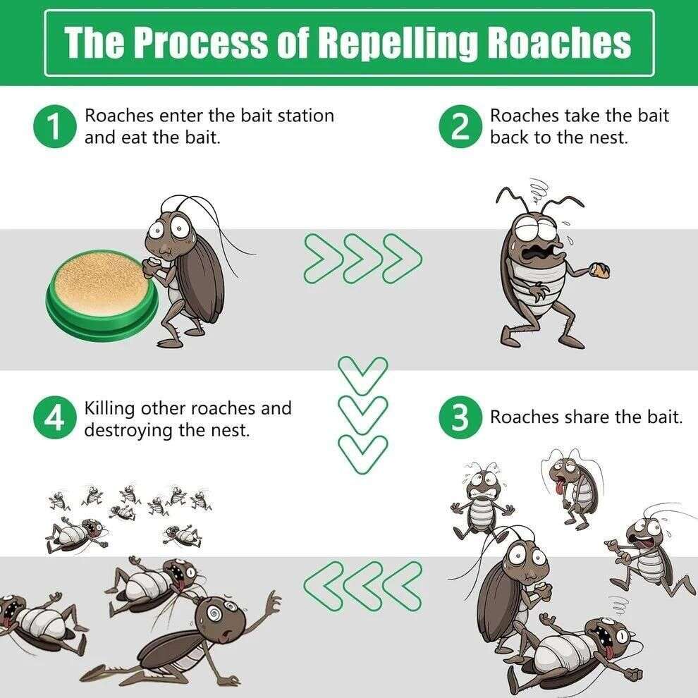 Cockroach Killer Gel (Pack of 2) Mystical9