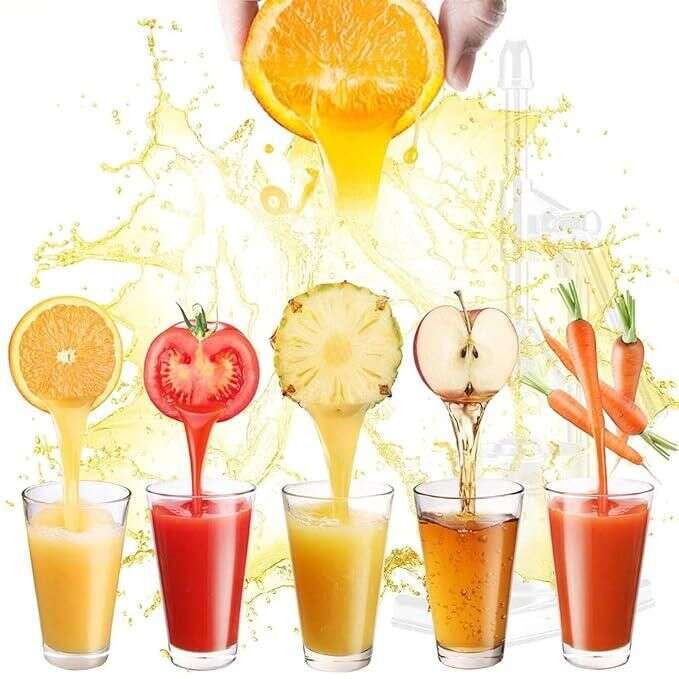 Fruit Juicer Mystical9