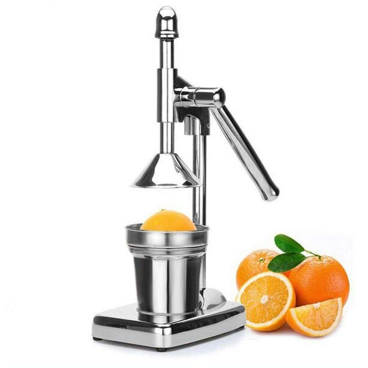 Fruit Juicer Mystical9