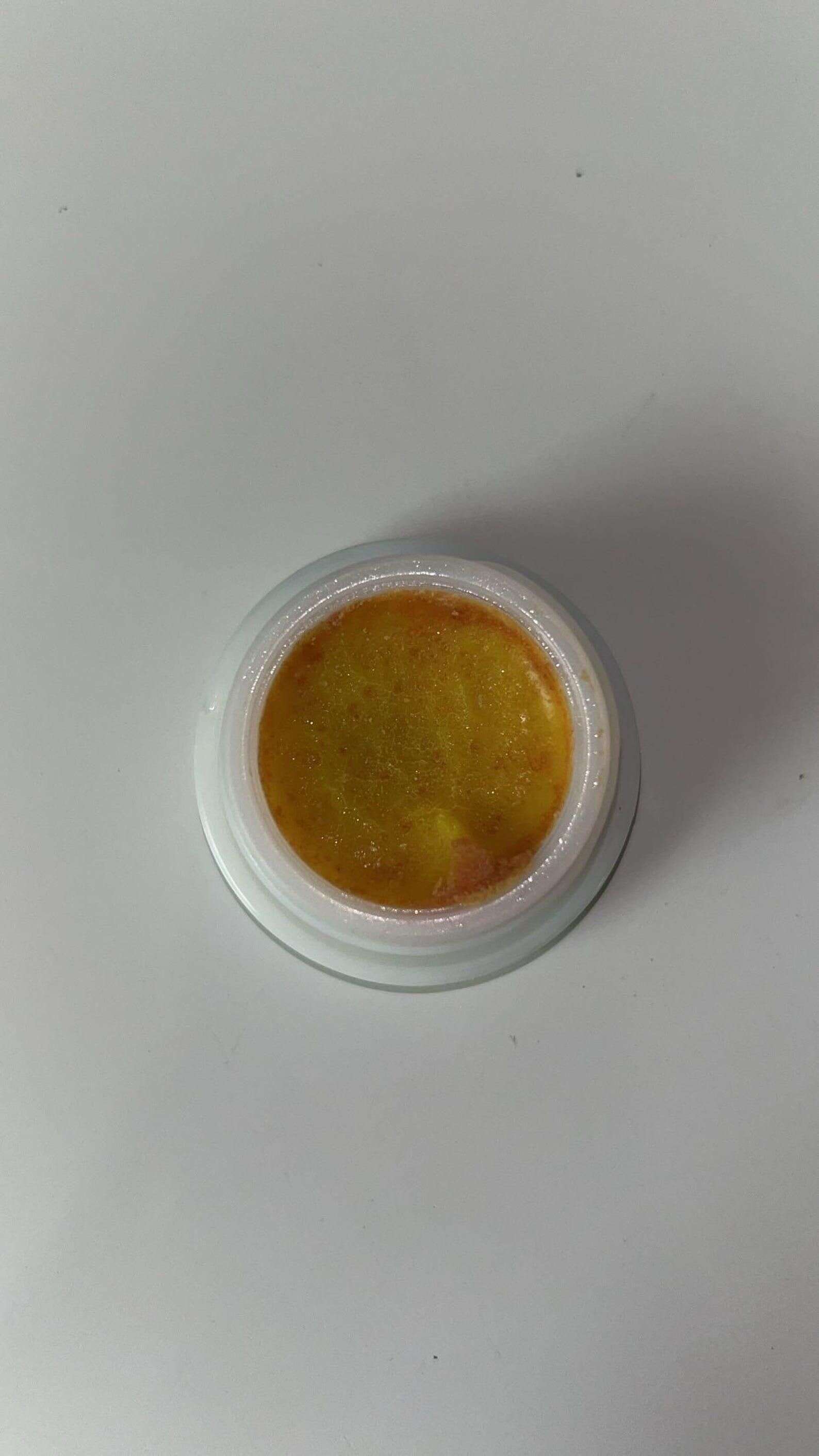 Cockroach Killer Gel (Pack of 2) Mystical9