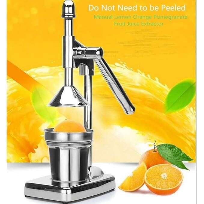Fruit Juicer Mystical9