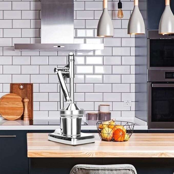 Fruit Juicer Mystical9