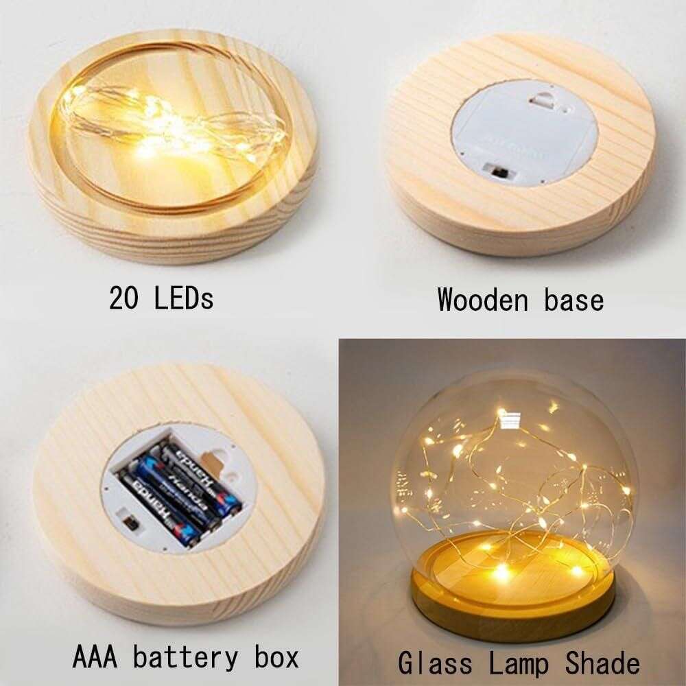 Round Tulip Light Mystical9