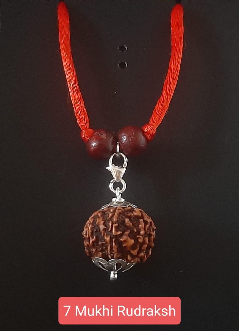 7 Mukhi Rudraksha Silver Capped Pendant - Premium  from Mystical9 - Just Rs 799 /- Shop now at Mystical9.com