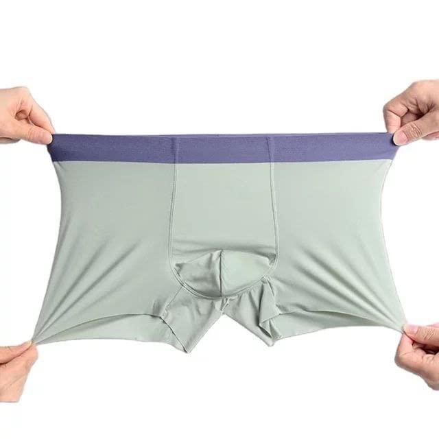 Men's  Ice Silk Briefs Boxers (Pack of 5) - Premium  from Mystical9 - Just Rs 890 /- Shop now at Mystical9.com