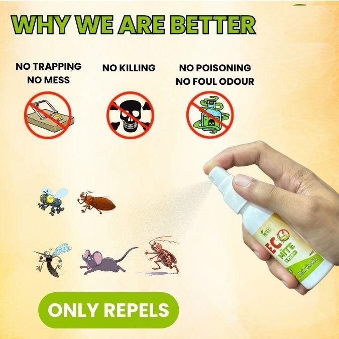 Eco Mite Spray (Pack of 2) - Premium  from Mystical9 - Just Rs 470 /- Shop now at Mystical9.com