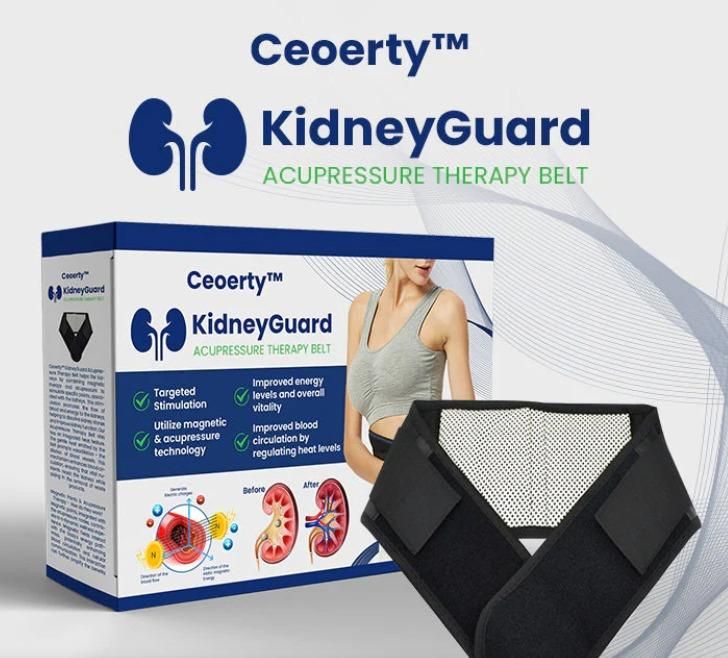 Kidney Guard Acupressure Therapy Belt - Premium  from Mystical9 - Just Rs 599 /- Shop now at Mystical9.com