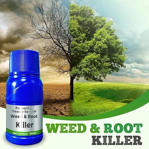 15543