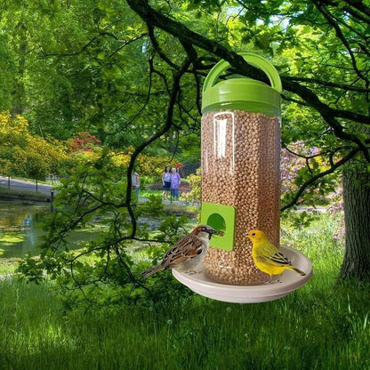 Bird Food and Water Feeder Hanging for Balcony - Premium  from Mystical9 - Just Rs 550 /- Shop now at Mystical9.com