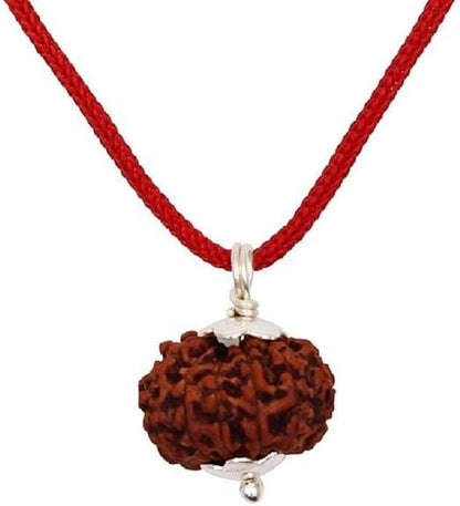 7 Mukhi Rudraksha Silver Capped Pendant - Premium  from Mystical9 - Just Rs 799 /- Shop now at Mystical9.com