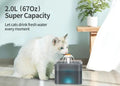 2L Small Pet Water Fountain for Kitten & Small Dogs