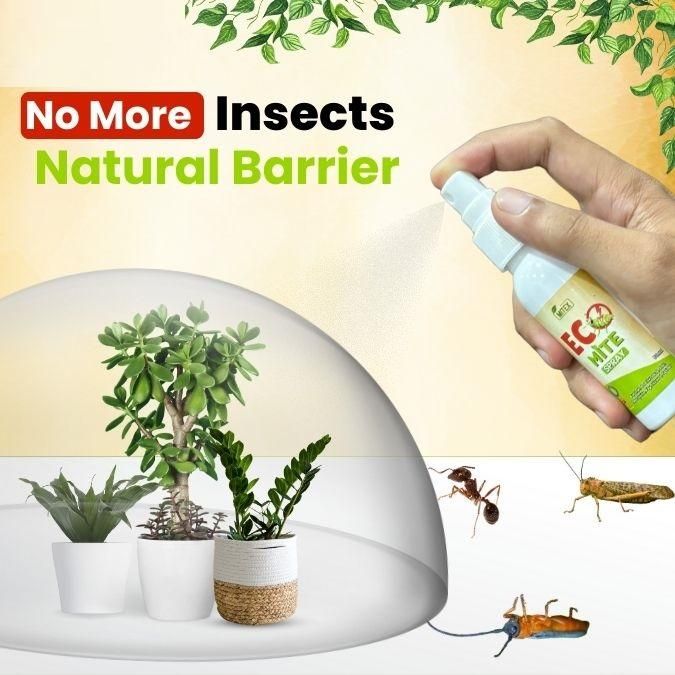 Eco Mite Spray (Pack of 2) - Premium  from Mystical9 - Just Rs 470 /- Shop now at Mystical9.com