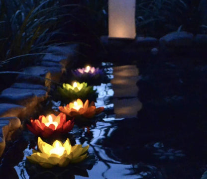 Lotus Flower Floating Diya Set with Water Sensor (Set of 6) - Premium  from Mystical9 - Just Rs 870 /- Shop now at Mystical9.com