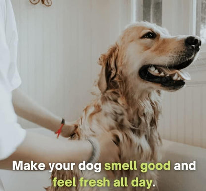 Anti-Itch Dog Shampoo|Ditch to Itch 300ml Pack of 2 - Premium  from Mystical9 - Just Rs 550 /- Shop now at Mystical9.com