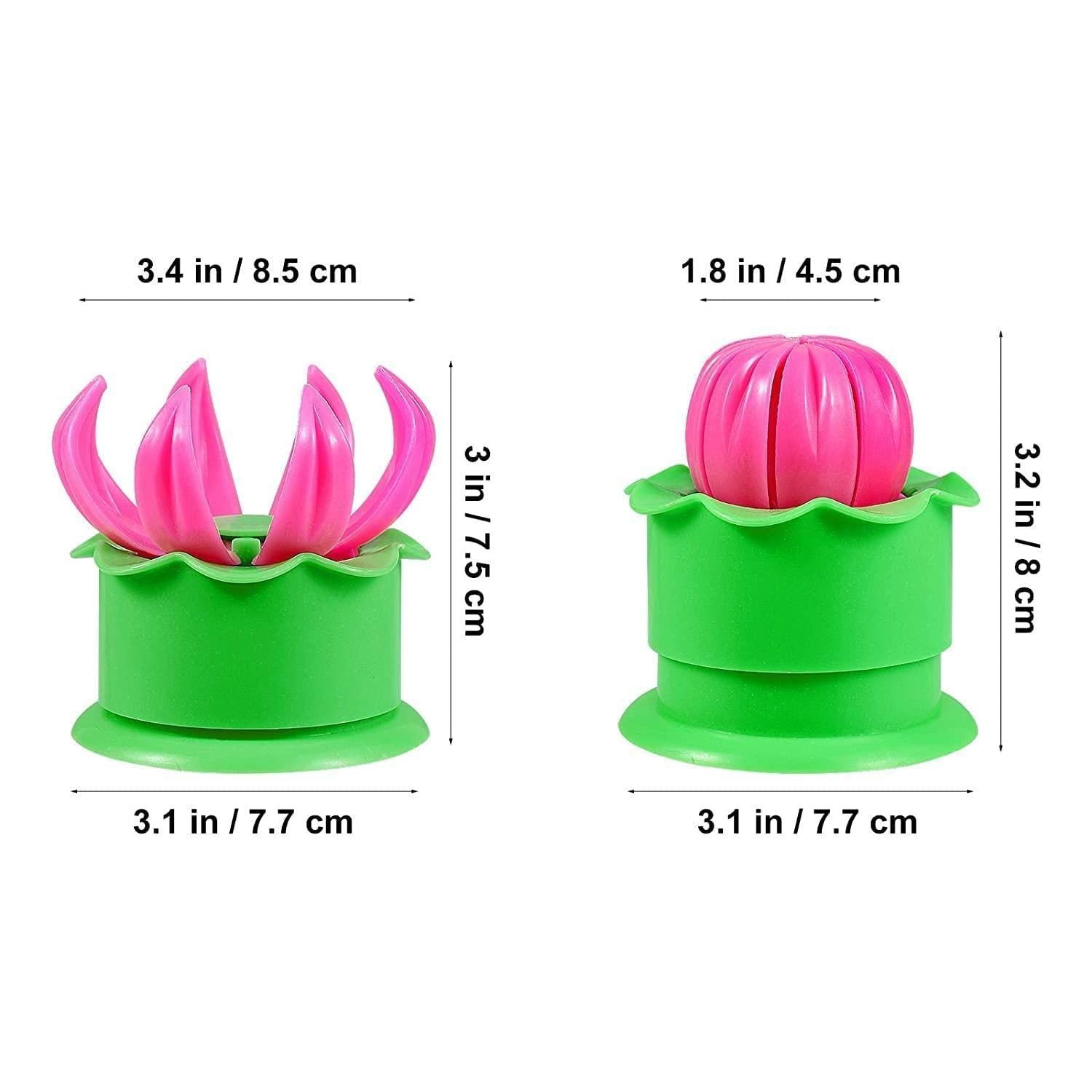 Momos Maker- Plastic Momo Maker Mold - Premium  from Mystical9 - Just Rs 499 /- Shop now at Mystical9.com