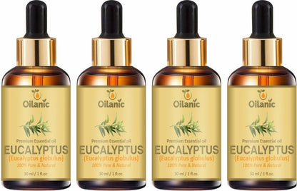 Oilanic Premium Eucalyptus Essential Oil Combo pack of 4 bottles of 30 ml(120 ml) - Premium  from Mystical9 - Just Rs 1000 /- Shop now at Mystical9.com