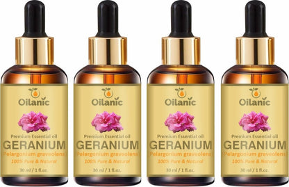 Oilanic Premium Geranium Essential Oil Combo pack of 4 bottles of 30 ml(120 ml) - Premium  from Mystical9 - Just Rs 900 /- Shop now at Mystical9.com