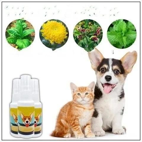 Natural Potty Training Spary for Dog & Cat (Pack of 2) 30ml each - Premium  from Mystical9 - Just Rs 700 /- Shop now at Mystical9.com