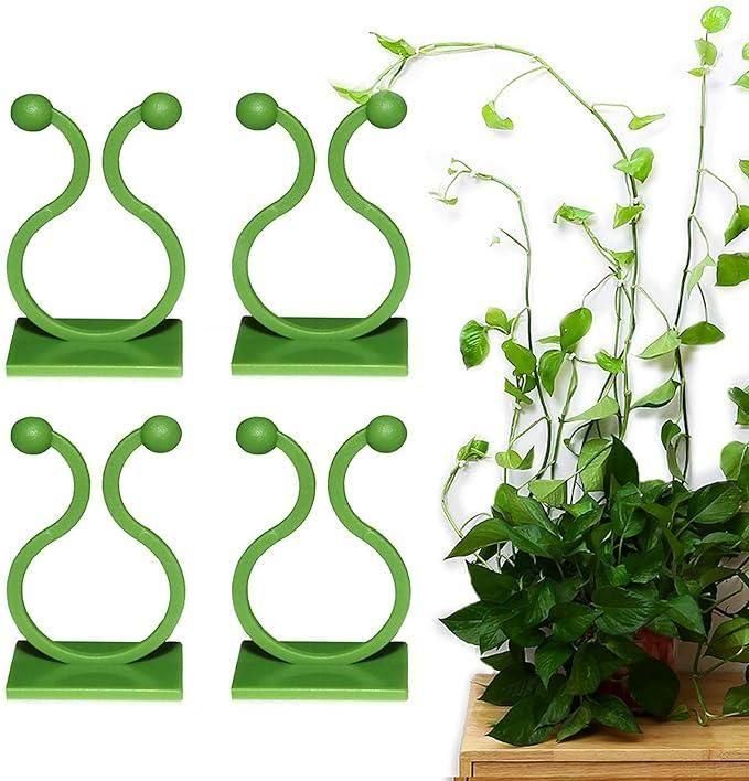 Invisible Wall Vines Fixing Clips Plant (30 Pcs) - Premium  from Mystical9 - Just Rs 600 /- Shop now at Mystical9.com