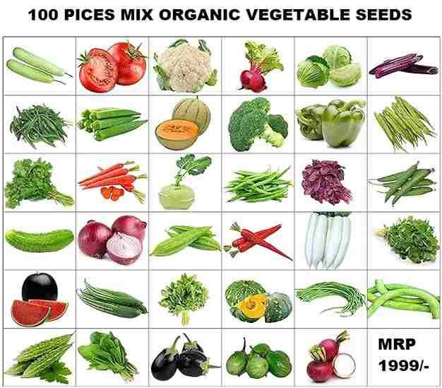 Organic Mix Varieties 100 Pices Seeds With 5 Pices Grow Bag - Premium  from Mystical9 - Just Rs 550 /- Shop now at Mystical9.com