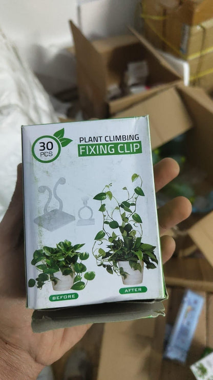 Invisible Wall Vines Fixing Clips Plant (30 Pcs) - Premium  from Mystical9 - Just Rs 600 /- Shop now at Mystical9.com