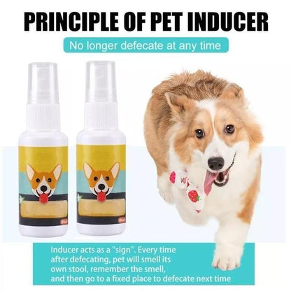 Natural Potty Training Spary for Dog & Cat (Pack of 2) 30ml each - Premium  from Mystical9 - Just Rs 700 /- Shop now at Mystical9.com