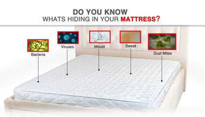 Fidato Double Bed Mattress Protector Sheet with 2 Pillow Protector - Premium  from Mystical9 - Just Rs 750 /- Shop now at Mystical9.com