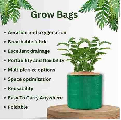 Organic Mix Varieties 100 Pices Seeds With 5 Pices Grow Bag - Premium  from Mystical9 - Just Rs 550 /- Shop now at Mystical9.com