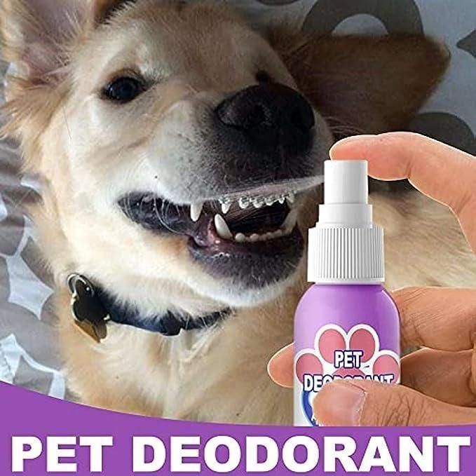 Oral Spray For Dogs & Cats (Pack of 2) - Premium  from Mystical9 - Just Rs 600 /- Shop now at Mystical9.com