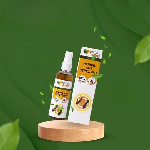 HERBAL STRATEGI Ant Repellent Spray Non-Toxic 100% Herbal Stain Free  (100 ml) - Premium  from Mystical9 - Just Rs 550 /- Shop now at Mystical9.com