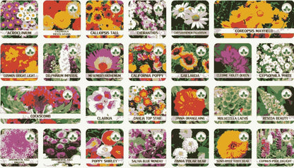 Varieties of Flower Seeds (Pack of 100) - Premium  from Mystical9 - Just Rs 550 /- Shop now at Mystical9.com