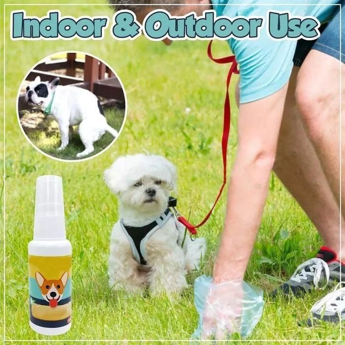 Natural Potty Training Spary for Dog & Cat (Pack of 2) 30ml each - Premium  from Mystical9 - Just Rs 700 /- Shop now at Mystical9.com