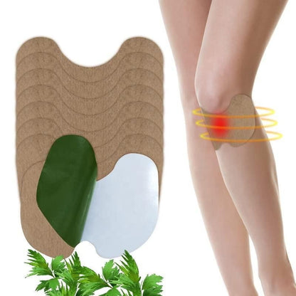 Herbal Knee Plaster Sticker Ache Pain Relieving - Premium  from Mystical9 - Just Rs 518 /- Shop now at Mystical9.com